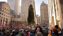 New York predstavil novinku pre vodičov, ide zamedziť zápcham. Trump krok tvrdo kritizuje
