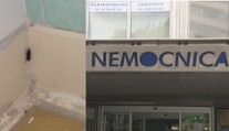 Na toalete jeden, v kúpeľni druhý. Nemocnicu v Bratislave terorizujú šváby