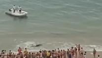 Panika na pláži v Španielsku. Ľudí vyhnal z vody viac ako dvojmetrový žralok