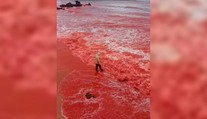 VIDEO: Ako výjav z biblie. More pri slávnej pláži zmenilo farbu na krvavočervenú