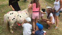 Deti na festivale čmárali po poníkovi. Rodičom to nevadilo