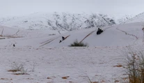 VIDEO: Z horúcej púšte mrazivo biela krajina: Takto vyzerá Sahara pokrytá snehom