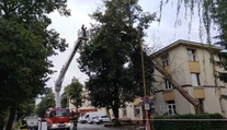 FOTO: Víchrica na Slovensku spôsobila energetickú kalamitu. Bez elektriny zostalo vyše 20-tisíc domácností
