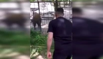 Otrasné video zo zoo: Muž napadol vzácne zviera. Na sociálnych sieťach to vyvolalo búrku