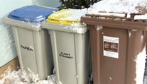 Zisťovali sme, čo všetko patrí a nepatrí do hnedého smetiaka