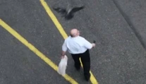 Ľudí v Chorvátsku terorizujú agresívne vrany. Pre ich útoky sa boja vychádzať von