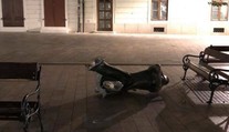 Vandali vypáčili sochu napoleonského vojaka v centre Bratislavy