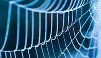 Prelomový objav: V USA vyrobili materiál, ktorý je pevnejší ako pavúčie vlákno