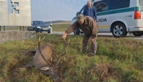 Nebezpečná jeseň na cestách. Zver vbieha pod kolesá každý deň