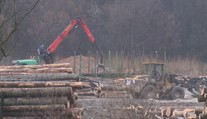 Na Horehroní chystajú obrovskú ťažbu dreva. Najviac zasiahne aj tamojšie turistické atrakcie
