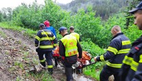Dva útoky medveďa v priebehu pár dní. Zistili sme, ako sú na tom zranení muži