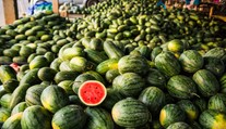 Neviete si vybrať dobrý melón? Poradíme vám ako na to