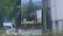 V Sučanoch zabili problémového medveďa, ktorý robil spúšť na záhradách. Po týždni sa objavil ďalší