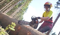 Je žena a pracuje ako drevorubačka. Zuzana sa dostala do mnohých nebezpečných situácií