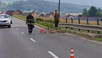 Motorkár sa pri Hybe zrazil s jeleňom, skončil v bezvedomí v nemocnici