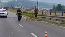 Motorkár sa pri Hybe zrazil s jeleňom, skončil v bezvedomí v nemocnici