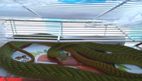 Žena, ktorú v Prahe pohrýzla jedovatá mamba, zomrela v nemocnici