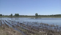 Farmári na Zemplíne nemôžu na polia. Ak chcú na pôdu dotáciu, zasiať musia čo najskôr