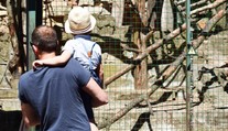 VIDEO: Čínska ZOO podvádza návštevníkov. Neuveríte, aké zviera v skutočnosti drží vo výbehu