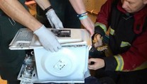 Hlúpy žart sa vymkol z rúk: Mladíkovi "pricementovali" hlavu do mikrovlnky