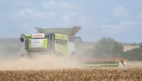 Úroda bude slabšia takmer pri všetkom. Horúčavy môžu zdvihnúť ceny potravín