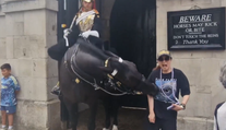 VIDEO: Kôň kráľovskej gardy uhryzol turistku, po chvíli sa zložila k zemi