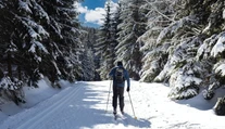 Slováci prepadli bežkovaniu. Na trhu sa však takmer nedá zohnať výstroj