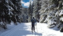 Slováci prepadli bežkovaniu. Na trhu sa však takmer nedá zohnať výstroj