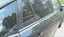 Do strednej Európy mieri saharský prach. Na Slovensku môže spôsobiť aj krvavý dážď