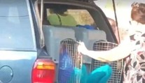 Babička viezla svoje vnučky (7,8) autom zatvorené v psích klietkach