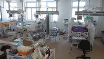 Viedeň eviduje rekordný počet pacientov s koronavírusom na JIS