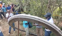 VIDEO: Na dedinu padol z vesmíru ozubený kruh. Obrovskú ranu bolo počuť v okruhu 50 km