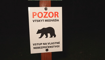 Nazývajú ho slovenský Blair Witch. Vstúpili sme do lesa plného nevysvetliteľných zmiznutí