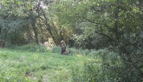 Dva útoky medveďov na cyklistov za jediný týždeň. Na miesta incidentov sme sa vrátili s lokálnymi pozorovateľmi