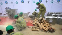 Na letisku v Hanoji zadržali 125 kilogramov nosorožích klov