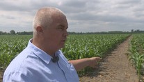Pán Oto vlastní niekoľko pozemkov, ku ktorým sa však nemôže dostať