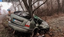 Dostal šmyk a narazil do stromu. Vodič nemal šancu náraz prežiť