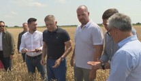 Chcem fotku v žite, obilie mi vždy voňalo, vyhlásil Fico na návšteve poľnohospodárov. Poukázal tiež na výzvy, ktorým čelia