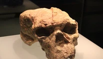 Vedci našli lebku, ktorá môže zmeniť pohľad na evolúciu človeka