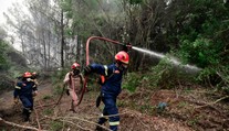 Druhý najväčší grécky ostrov sužuje požiar. Hasičom sa ho nedarí dostať pod kontrolu