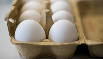 Holandsko a Nemecko blokujú zverejnenie údajov o škandále okolo Fipronilu