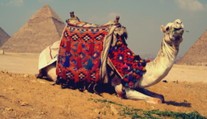 Ministerstvo varuje pred cestou do Egypta: Platí druhý stupeň odporúčania