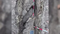 FOTO: Vzácny nález v Bratislave. Archeológovia objavili 2-tisíc rokov starý akvadukt, ktorý postavili Rimania
