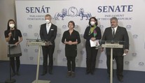 Český Senát odporučil odobrať prezidentovi Zemanovi právomoci