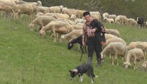 Salaš v Brusne sa vyrovnáva so smrťou obľúbeného baču. Takí chlapi sa už nerodia