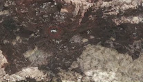 VIDEO: Nevídaný objav na skalnej stene. Nikto nevie, ako sa tam zviera dostalo