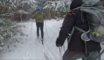 Bežkári majú dôvod na radosť, podmienky patria k najlepším za roky. Poradíme vám, ako začať