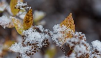 Teplé dni sa blížia ku koncu. Vpád zimy na Slovensko prinesie prvé snehové zrážky