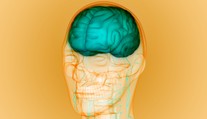 Ako súvisí Parkinsonova a Alzheimerova choroba s rodným jazykom? To zisťujú vedci