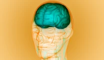 Ako súvisí Parkinsonova a Alzheimerova choroba s rodným jazykom? To zisťujú vedci